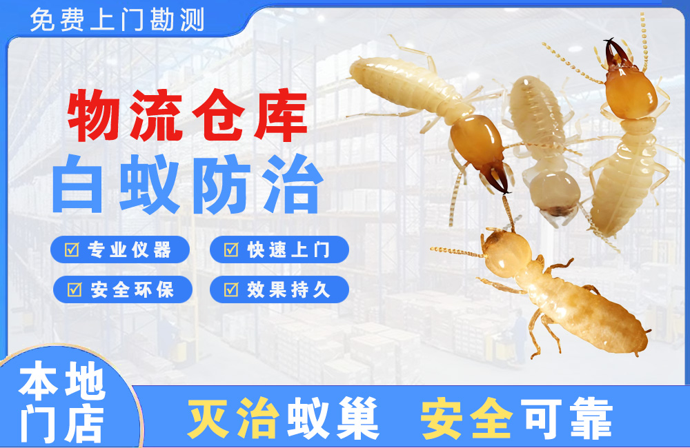 淮南物流仓库白蚁防治