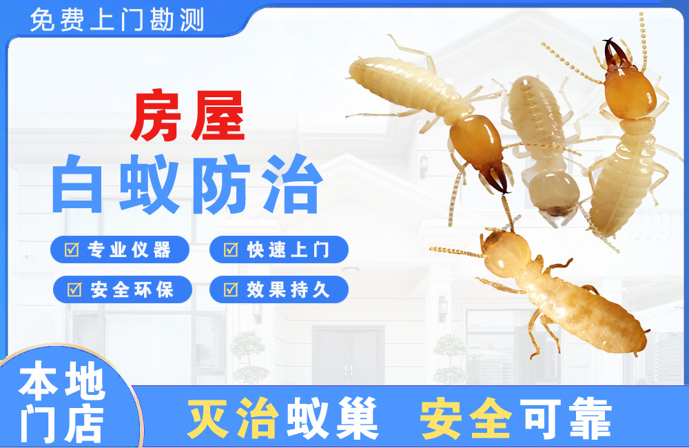 淮南房屋白蚁防治
